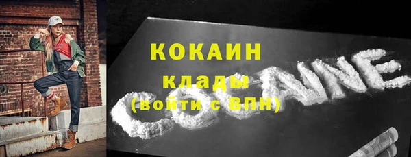 стаф Ладушкин
