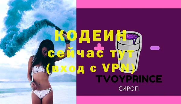 твердый Лагань