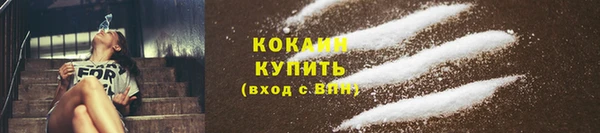 стаф Ладушкин