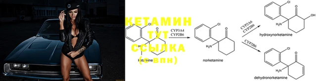 твердый Лагань