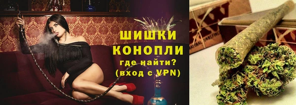 твердый Лагань