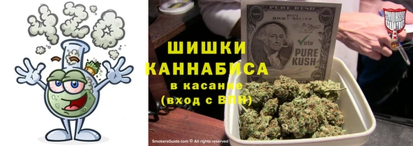 твердый Лагань