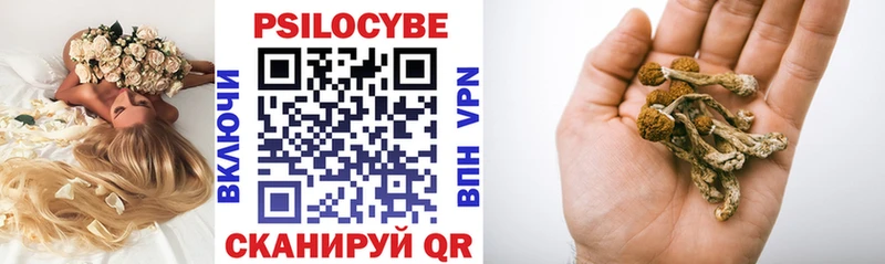 Галлюциногенные грибы Psilocybe  Купить  Андреаполь 